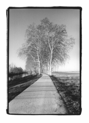 Canal du Midi