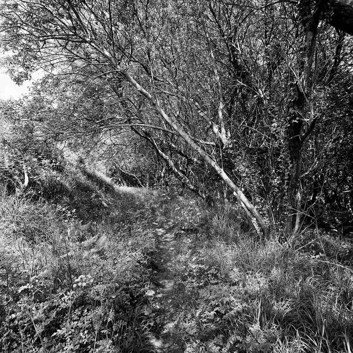 Vallon-de-Bangor-etude-2